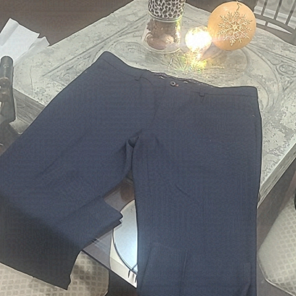 NEW LE CHATEAU TEXTURED DRESS PANTS SIZE 33